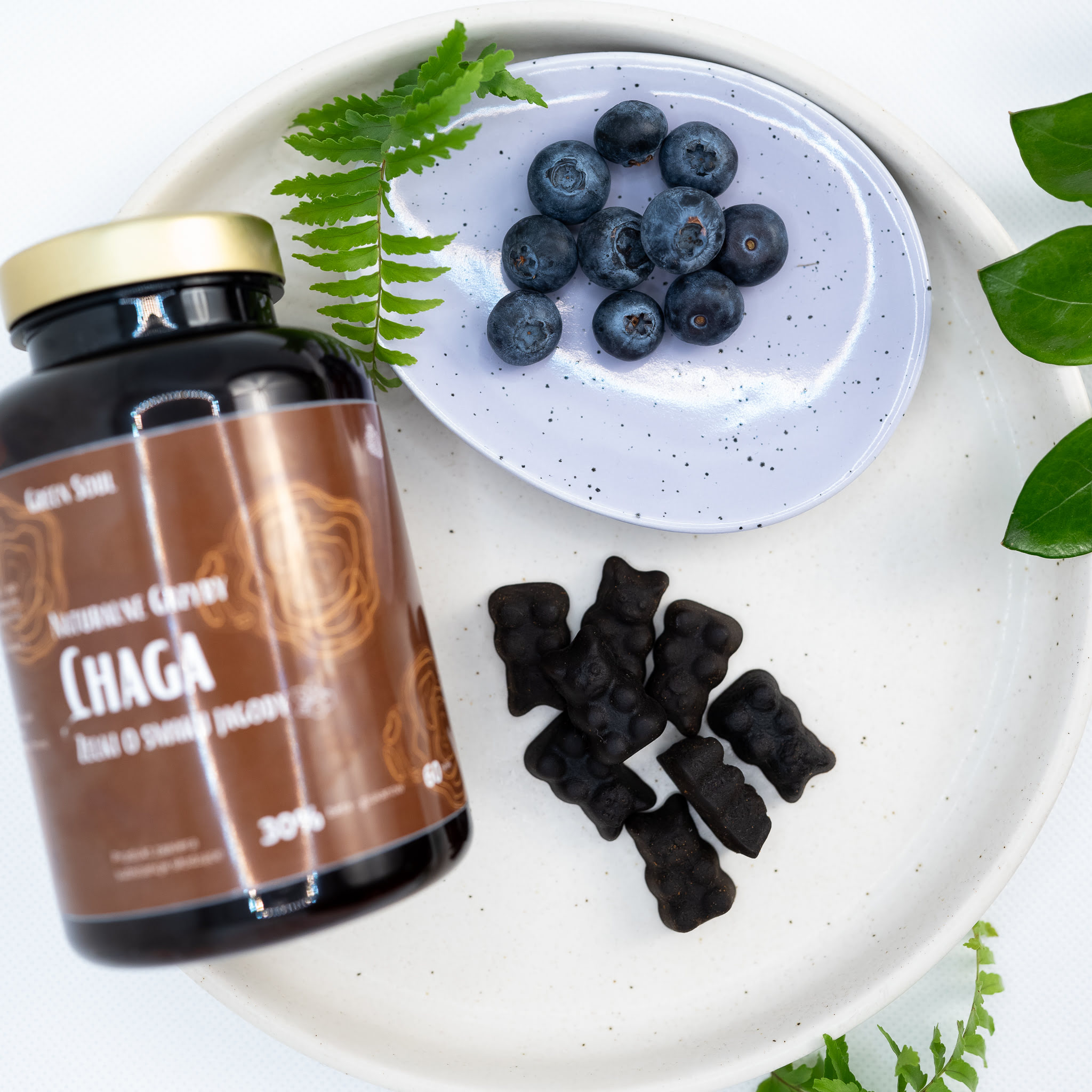 Chaga-1.jpg