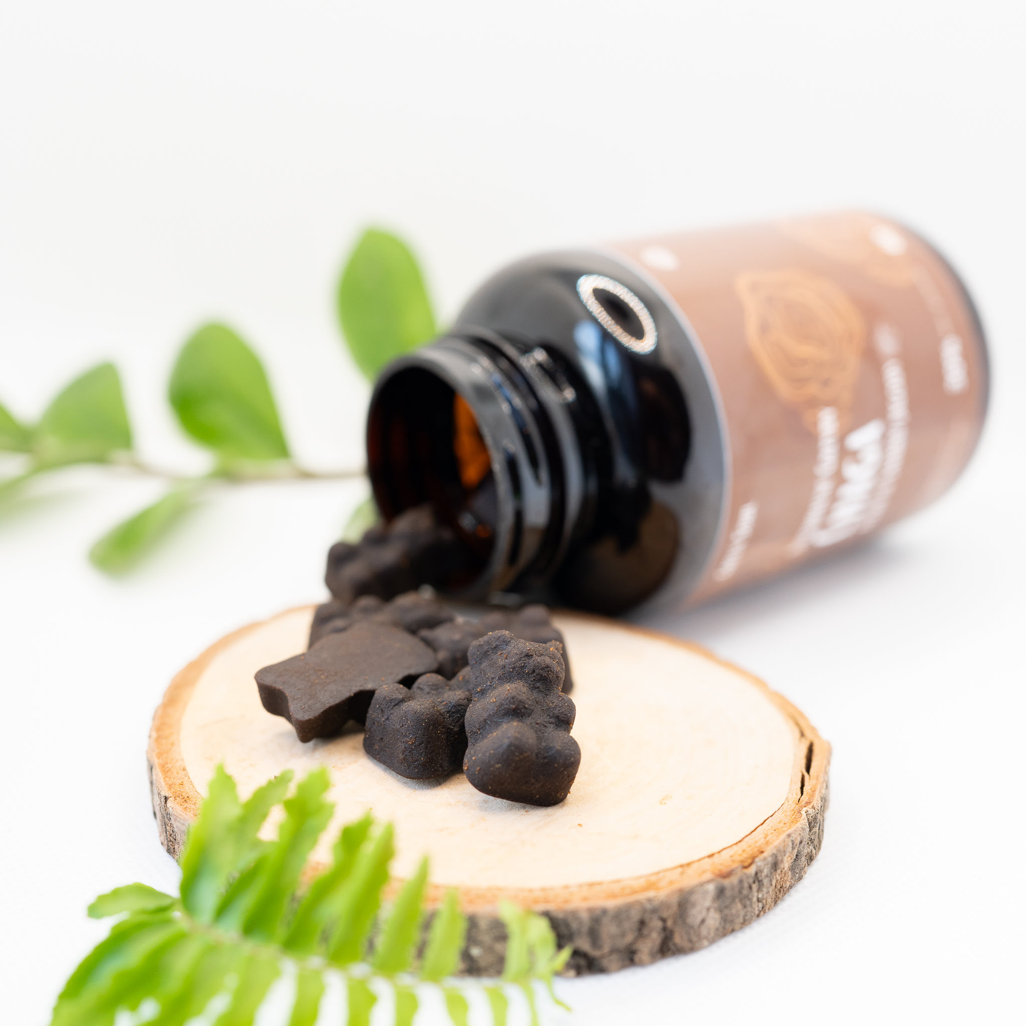 Chaga1.jpg
